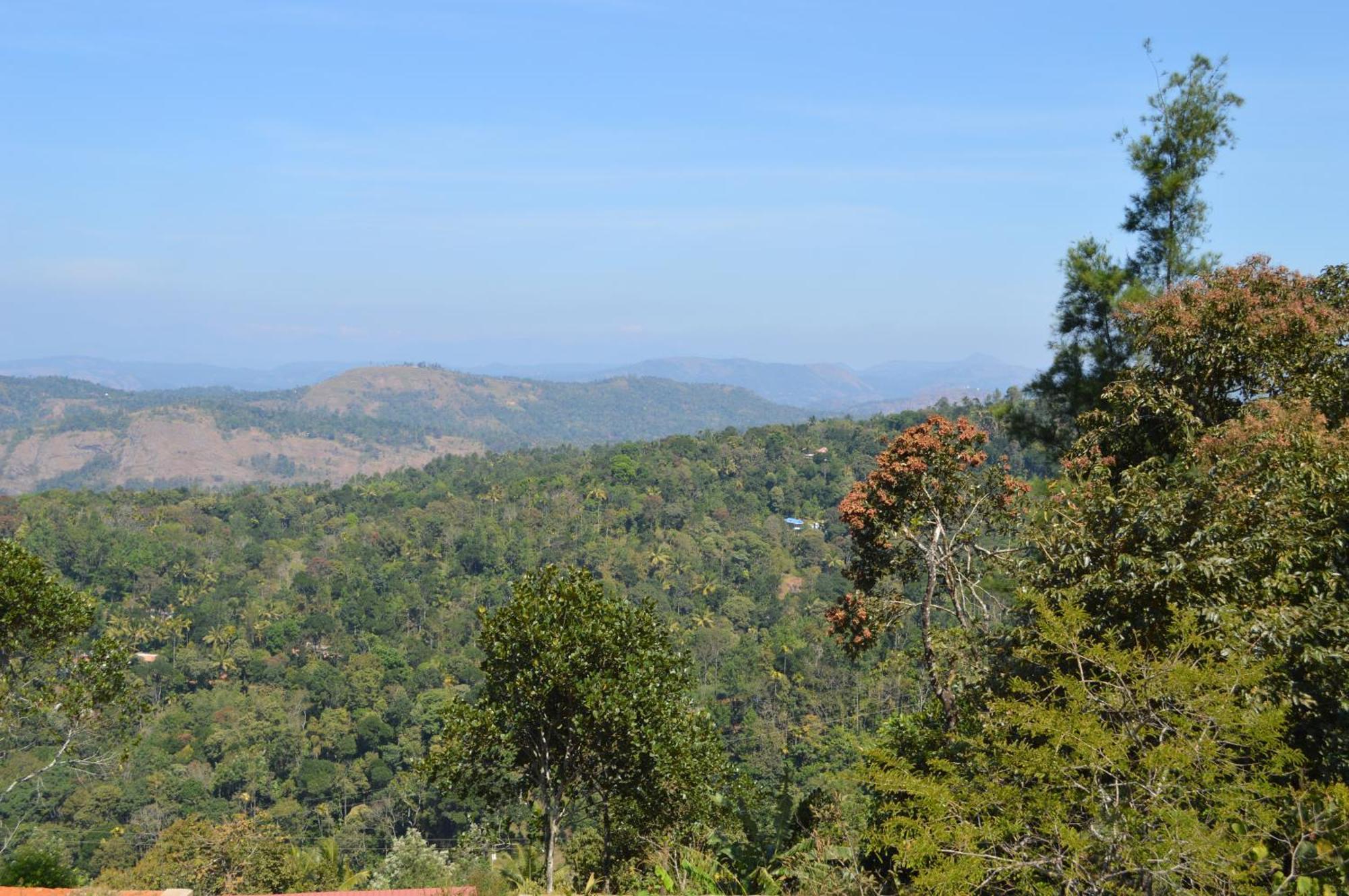 Ashramam Health Resort Kattappana Exterior foto